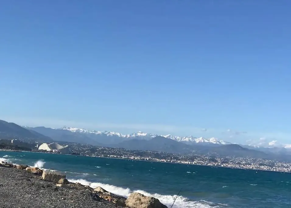 Apartment Cosy T2 Juan Les Pins A 4 Min Des Plages Antibes France